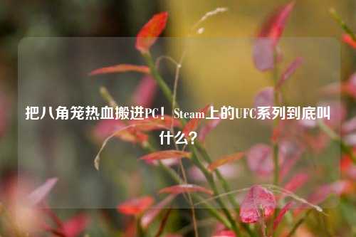 把八角笼热血搬进PC!Steam上的UFC系列到底叫什么?