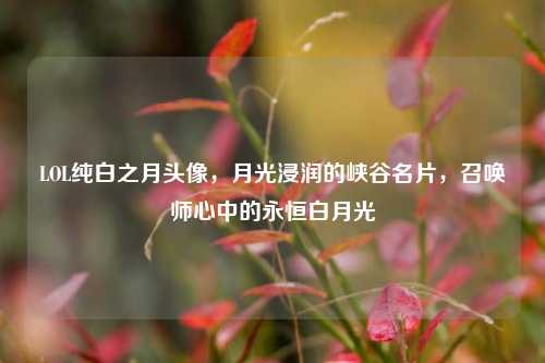 LOL纯白之月头像，月光浸润的峡谷名片，召唤师心中的永恒白月光