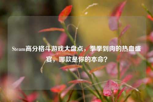 Steam高分格斗游戏大盘点,拳拳到肉的热血盛宴,哪款是你的本命?