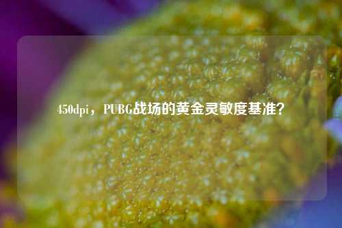 450dpi,PUBG战场的黄金灵敏度基准?