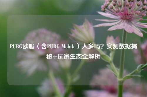 PUBG欧服（含PUBG Mobile）人多吗？实测数据揭秘+玩家生态全解析