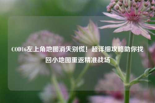COD16左上角地图消失别慌!超详细攻略助你找回小地图重返精准战场