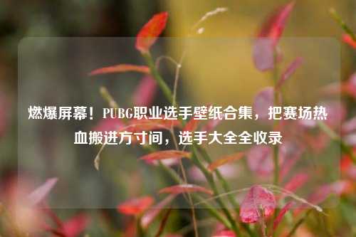 燃爆屏幕!PUBG职业选手壁纸合集,把赛场热血搬进方寸间,选手大全全收录