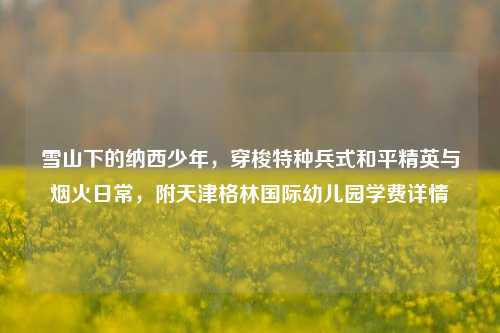 雪山下的纳西少年，穿梭特种兵式和平精英与烟火日常，附天津格林国际幼儿园学费详情