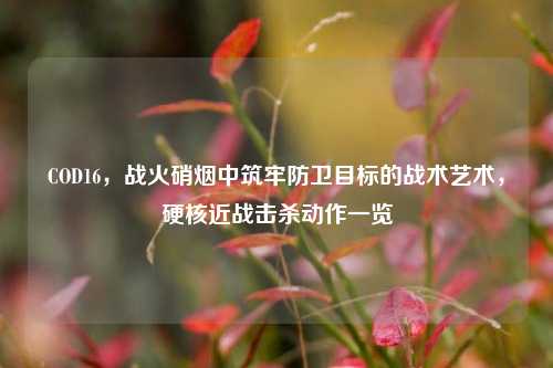 COD16,战火硝烟中筑牢防卫目标的战术艺术,硬核近战击杀动作一览