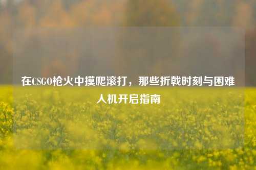 在CSGO枪火中摸爬滚打,那些折戟时刻与困难人机开启指南
