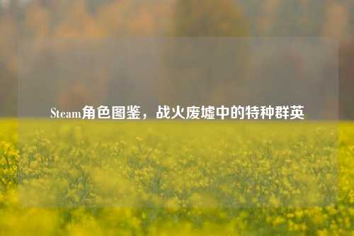 Steam角色图鉴,战火废墟中的特种群英