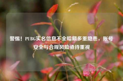 警惕!PUBG实名信息不全暗藏多重隐患,账号安全与合规风险亟待重视