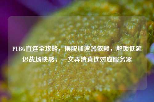 PUBG直连全攻略,摆脱加速器依赖,解锁低延迟战场快感,一文弄清直连对应服务器