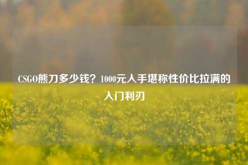 CSGO熊刀多少钱?1000元入手堪称性价比拉满的入门利刃