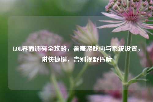 LOL界面调亮全攻略,覆盖游戏内与系统设置,附快捷键,告别视野昏暗