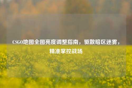 CSGO地图全图亮度调整指南，驱散暗区迷雾，精准掌控战场