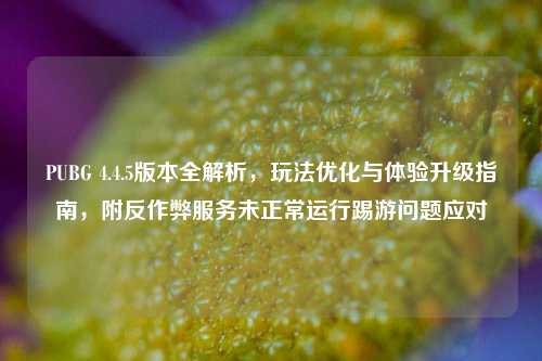PUBG 4.4.5版本全解析，玩法优化与体验升级指南，附反作弊服务未正常运行踢游问题应对