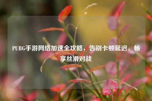 PUBG手游网络加速全攻略,告别卡顿延迟,畅享丝滑对战