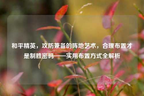 和平精英,攻防兼备的阵地艺术,合理布置才是制胜密码——实用布置方式全解析
