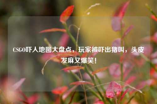 CSGO吓人地图大盘点,玩家被吓出猪叫,头皮发麻又爆笑!