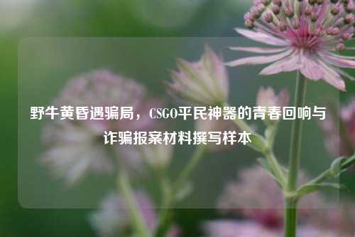 野牛黄昏遇骗局,CSGO平民神器的青春回响与诈骗报案材料撰写样本