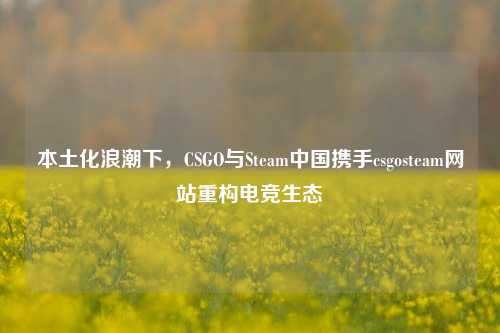 本土化浪潮下,CSGO与Steam中国携手csgosteam网站重构电竞生态