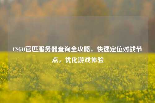 CSGO官匹服务器查询全攻略,快速定位对战节点,优化游戏体验