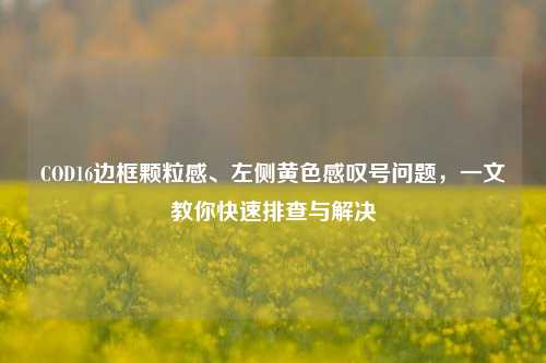 COD16边框颗粒感、左侧黄色感叹号问题,一文教你快速排查与解决