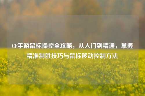 CF手游鼠标操控全攻略,从入门到精通,掌握精准制胜技巧与鼠标移动控制方法