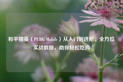 和平精英(PUBG Mobile)从入门到进阶,全方位实战教程,助你轻松吃鸡