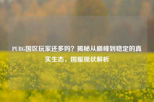 PUBG国区玩家还多吗?揭秘从巅峰到稳定的真实生态,国服现状解析