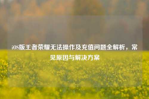 iOS版王者荣耀无法操作及充值问题全解析,常见原因与解决方案