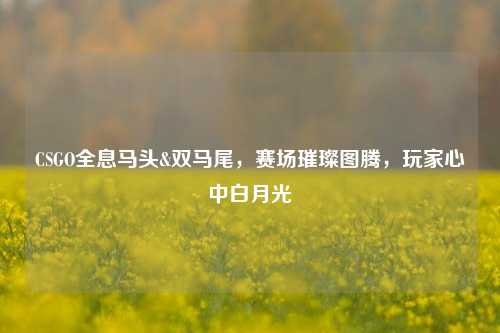 CSGO全息马头&双马尾,赛场璀璨图腾,玩家心中白月光