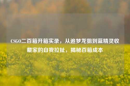 CSGO二百箱开箱实录,从追梦龙狙到蓝精灵收藏家的自我拉扯,揭秘百箱成本