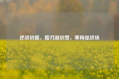 逆战初霜,霜刃凝初雪,寒梅绽战场