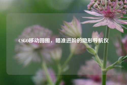 CSGO移动圆圈，瞄准进阶的隐形导航仪