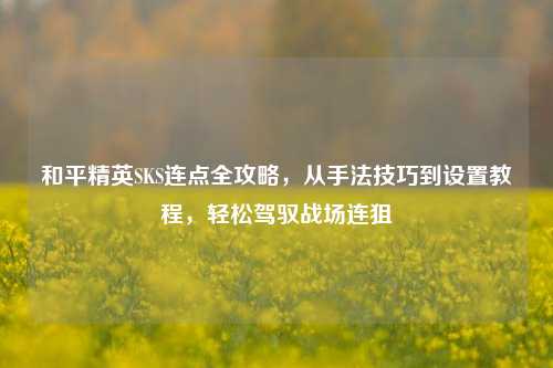 和平精英SKS连点全攻略,从手法技巧到设置教程,轻松驾驭战场连狙