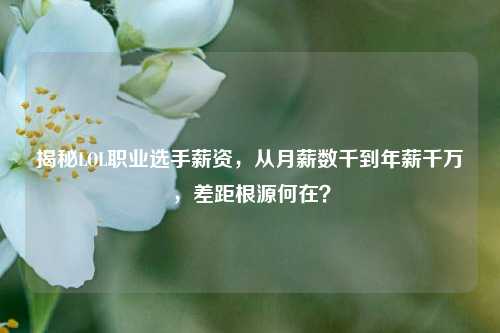 揭秘LOL职业选手薪资，从月薪数千到年薪千万，差距根源何在？