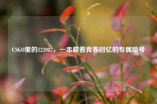 CSGO里的123987,一串藏着青春回忆的专属暗号
