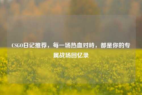 CSGO日记推荐，每一场热血对峙，都是你的专属战场回忆录