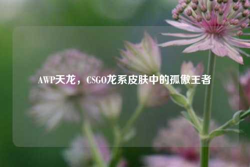 AWP天龙,CSGO龙系皮肤中的孤傲王者