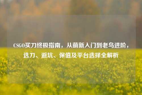 CSGO买刀终极指南，从萌新入门到老鸟进阶，选刀、避坑、保值及平台选择全解析