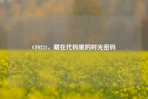 CF0221,藏在代码里的时光密码