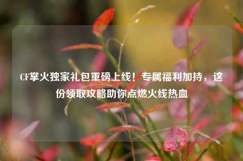 CF掌火独家礼包重磅上线!专属福利加持,这份领取攻略助你点燃火线热血