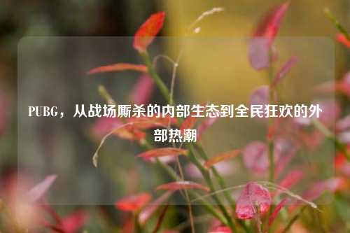 PUBG,从战场厮杀的内部生态到全民狂欢的外部热潮