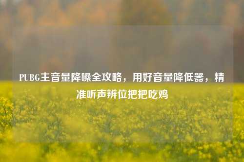PUBG主音量降噪全攻略,用好音量降低器,精准听声辨位把把吃鸡