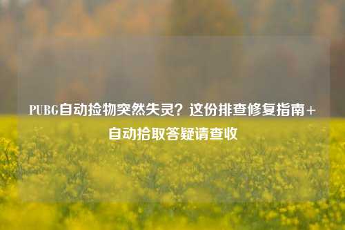 PUBG自动捡物突然失灵?这份排查修复指南+自动拾取答疑请查收