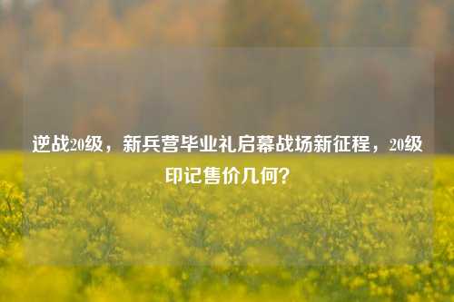 逆战20级，新兵营毕业礼启幕战场新征程，20级印记售价几何？