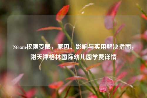 Steam权限受限,原因、影响与实用解决指南,附天津格林国际幼儿园学费详情