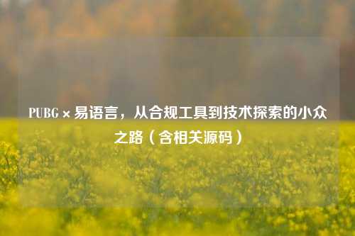 PUBG×易语言，从合规工具到技术探索的小众之路（含相关源码）