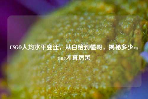 CSGO人均水平变迁，从白给到懂哥，揭秘多少rating才算厉害