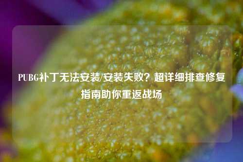 PUBG补丁无法安装/安装失败？超详细排查修复指南助你重返战场