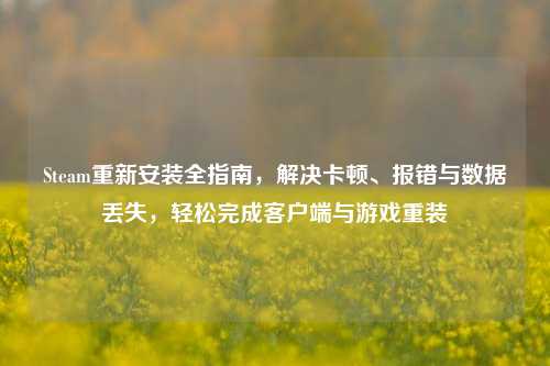 Steam重新安装全指南,解决卡顿、报错与数据丢失,轻松完成客户端与游戏重装