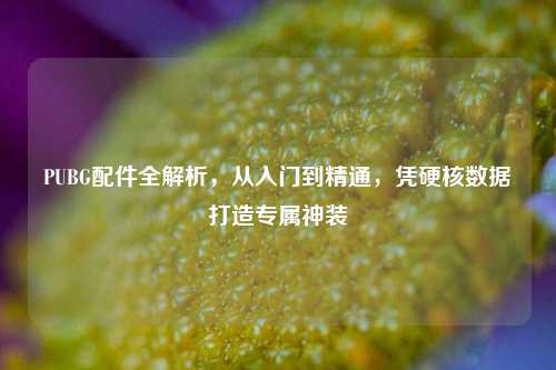 PUBG配件全解析,从入门到精通,凭硬核数据打造专属神装